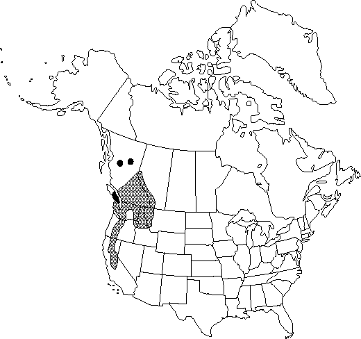 Map of Western pasqueflower, mountain pasqueflower in Canada