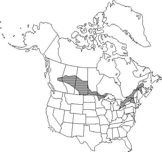 Map of <i>Anemone virginiana cylindroidea</i> in Canada
