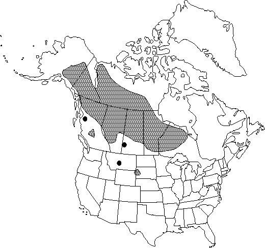 Map of <i>Aquilegia brevistyla</i> in Canada