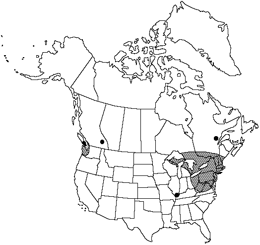 Map of <i>Asplenium trichomanes quadrivalens</i> in Canada