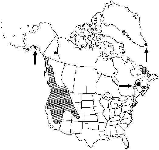 Map of American alpine lady fern in Canada