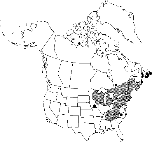Map of Yellow birch in Canada