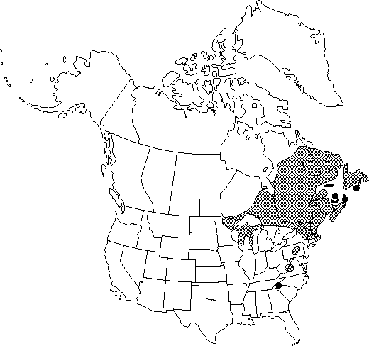 Map of Heartleaf birch, mountain white birch in Canada