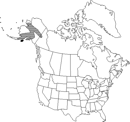 Map of Kenai birch in Canada