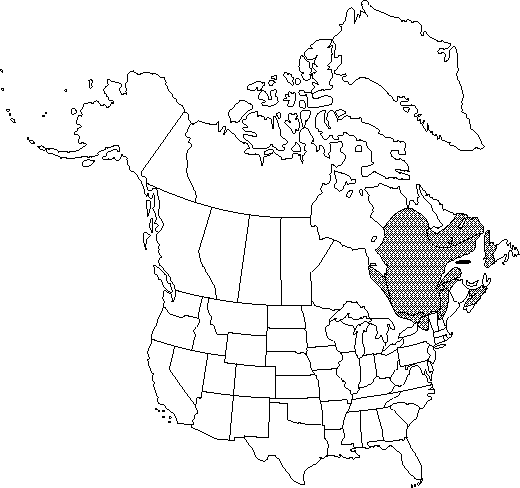 Map of Dwarf birch in Canada