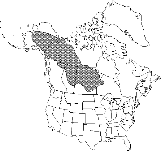 Map of Resin birch, paper birch in Canada
