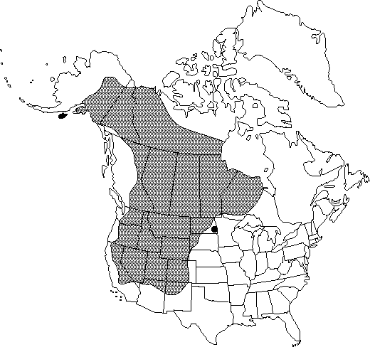 Map of Water birch, river birch in Canada