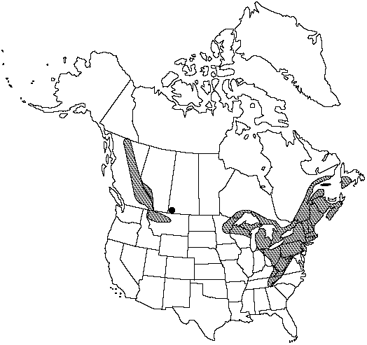 Map of Narrow triangle moonwort in Canada