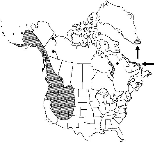 Map of <i>Botrychium lanceolatum lanceolatum</i> in Canada