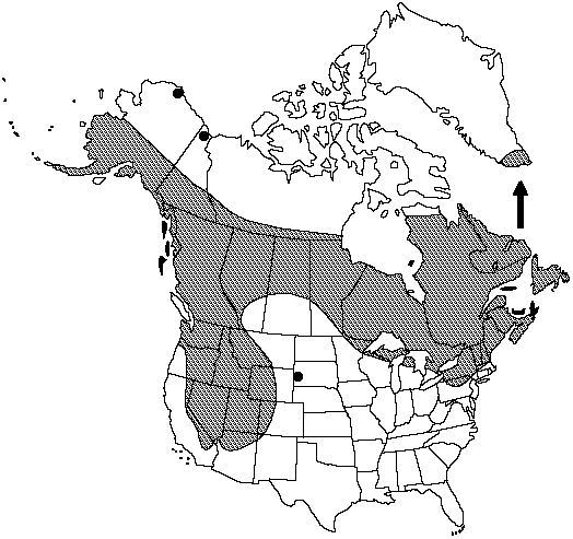 Map of Common moonwort in Canada