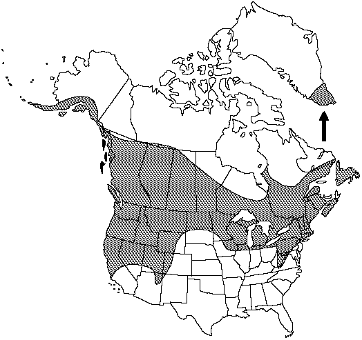 Map of Leather grapefern in Canada