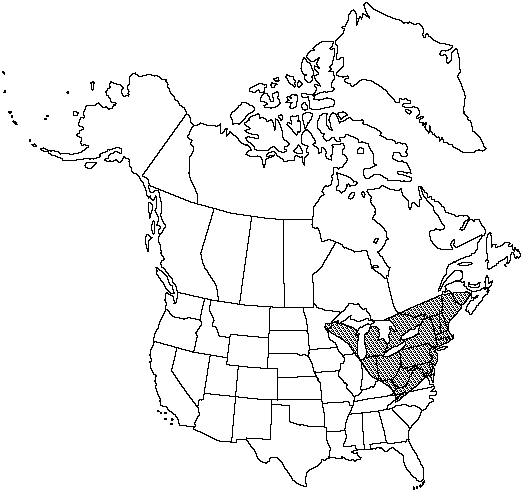 Map of Blunt-lobed grapefern in Canada