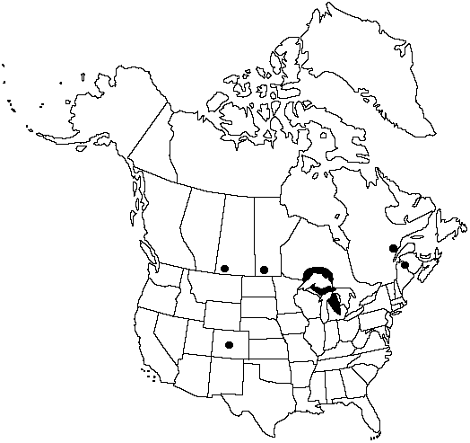 Map of Pale moonwort in Canada