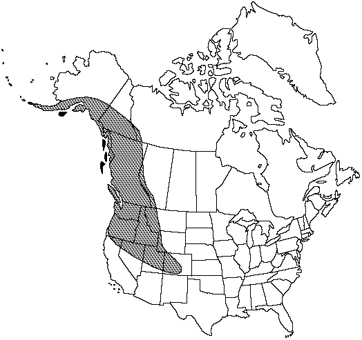 Map of Northwestern moonwort in Canada