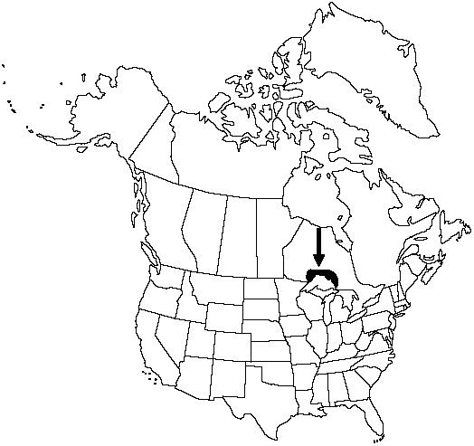 Map of False northwestern moonwort in Canada