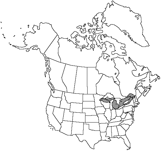 Map of St. Lawrence grapefern in Canada