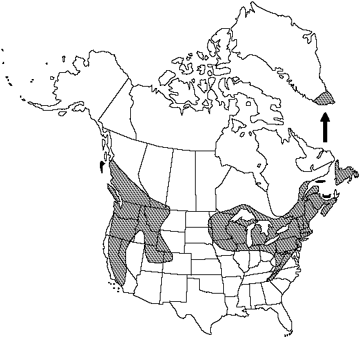 Map of Least moonwort in Canada