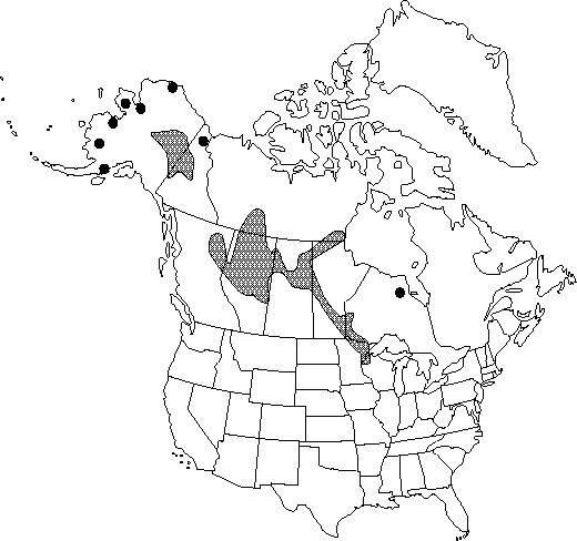 Map of <i>Caltha natans</i> in Canada