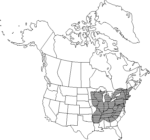 Map of American hornbeam, blue beech, musclewood, ironwood in Canada