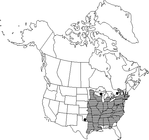 Map of Bitternut hickory, pignut in Canada