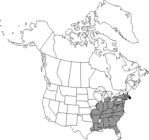 Map of Pignut hickory, sweet pignut in Canada