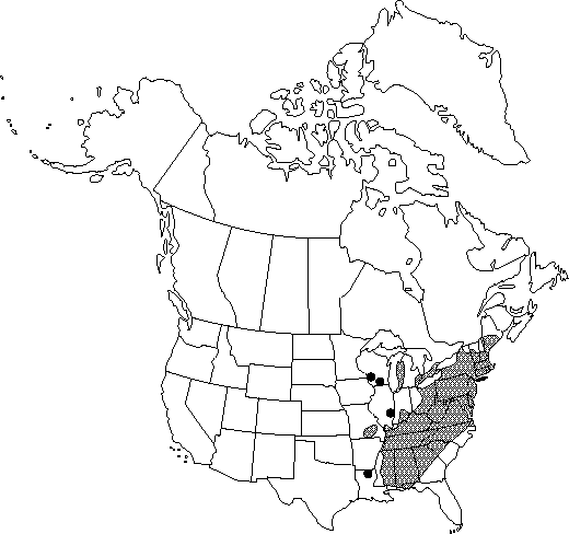 Map of American chestnut in Canada