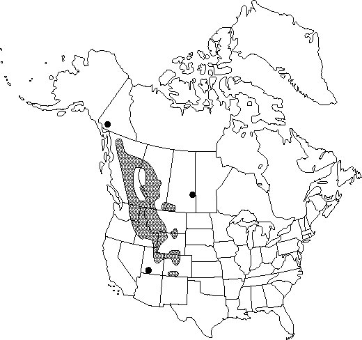 Map of <i>Clematis occidentalis grosseserrata</i> in Canada