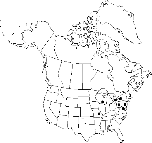 Map of Rocket larkspur in Canada