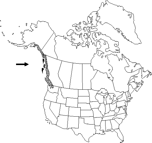Map of <i>Coptis aspleniifolia</i> in Canada