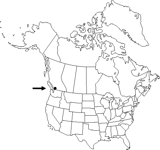 Map of European hazel or hazelnut in Canada