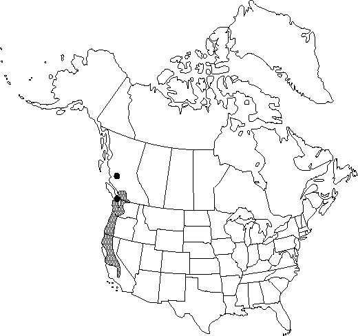 Map of California hazel in Canada