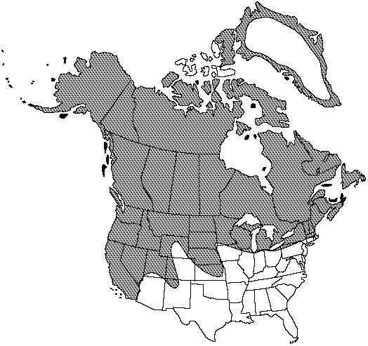 Map of Brittle fern, fragile fern in Canada