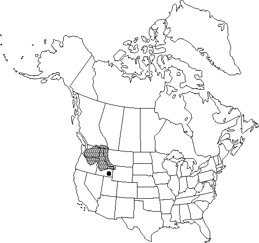 Map of Strict larkspur, meadow larkspur in Canada