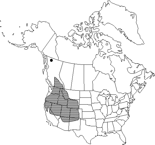 Map of <i>Delphinium nuttallianum</i> in Canada