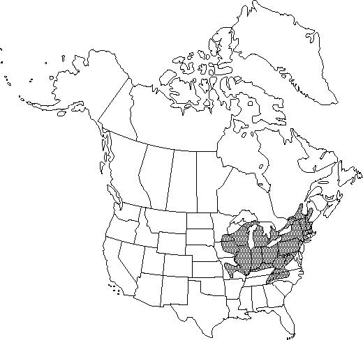 Map of Squirrel-corn in Canada
