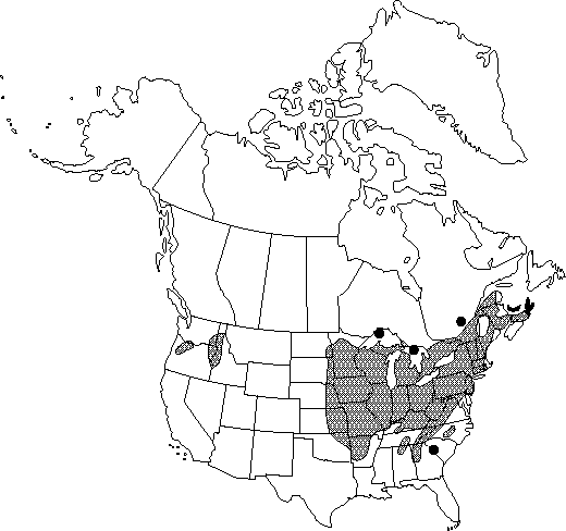 Map of Dutchman's-breeches in Canada