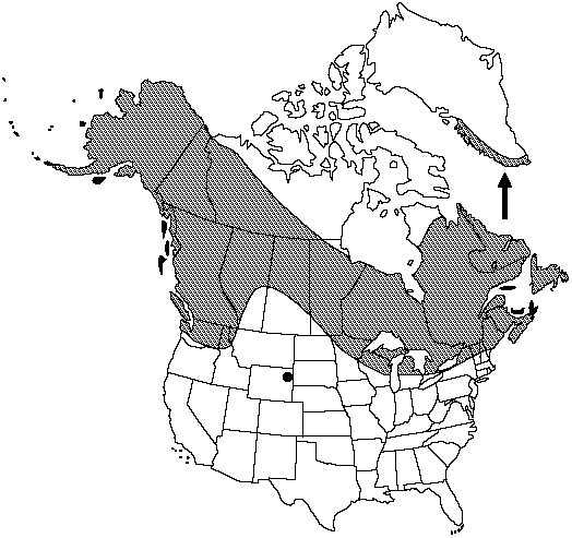 Map of Northern running-pine in Canada