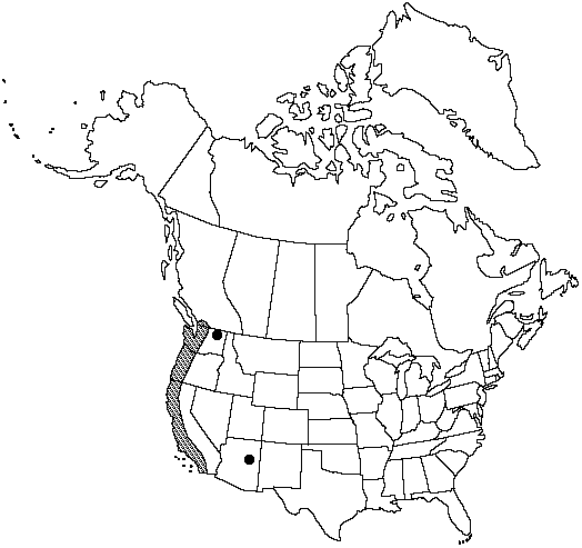 Map of Marginal wood fern, coastal wood fern in Canada