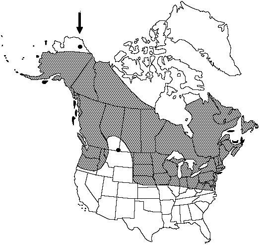 Map of River horsetail, pipes in Canada
