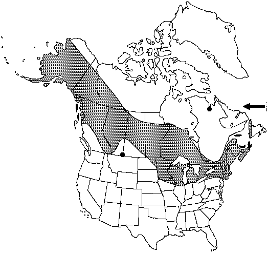 Map of Meadow horsetail in Canada