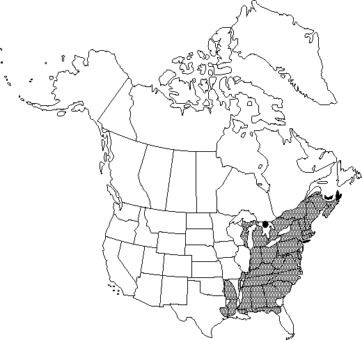 Map of American beech in Canada