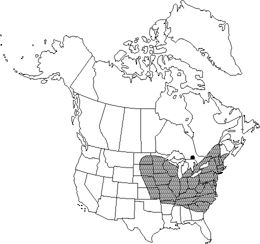 Map of Japanese hop(s in Canada