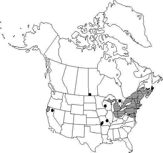 Map of <i>Humulus lupulus lupulus </i> in Canada