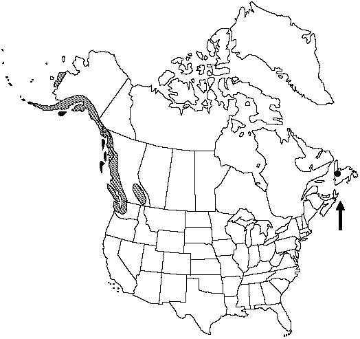 Map of Pacific fir-moss in Canada