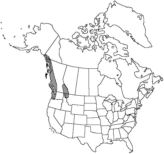 Map of <i>Huperzia occidentalis </i> in Canada