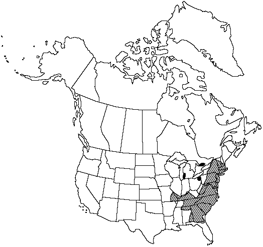 Map of Engelmann's quillwort in Canada