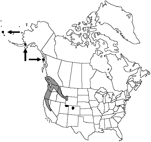 Map of Western quillwort in Canada