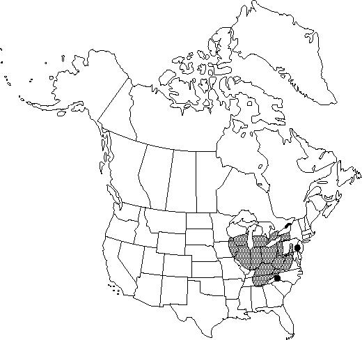Map of Twinleaf, rheumatism-root in Canada