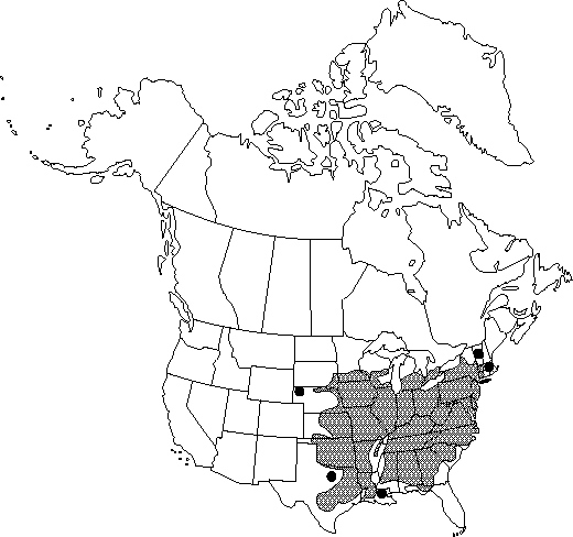 Map of Black walnut in Canada
