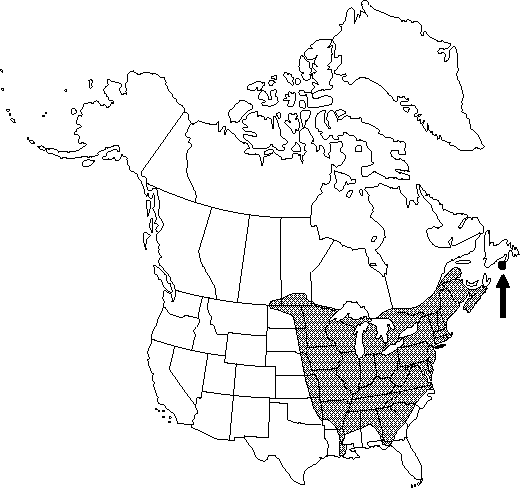 Map of Wood-nettle in Canada